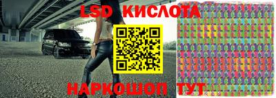 прущие грибы Ставрополь