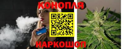 прущие грибы Ставрополь
