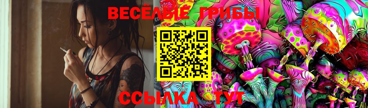 Псилоцибиновые грибы Magic Shrooms Новочеркасск
