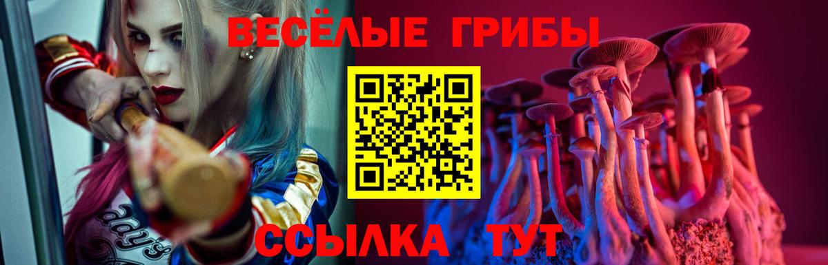 Псилоцибиновые грибы GOLDEN TEACHER  Вход с VPN  Новочеркасск 